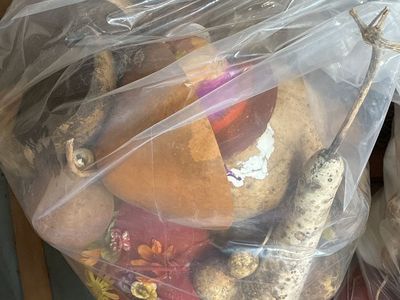 Assorted gourds for sale different prices per bundle!!!