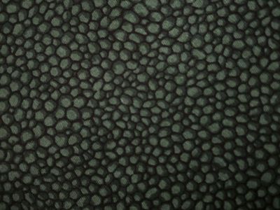 Forest Green decorators fabric for sale