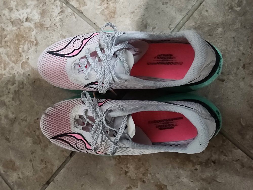 Saucony endorphin pro 3, size 10