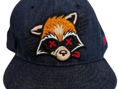 Roadkill LA2NY Denim Fitted Hat by New Era - 7 5/8