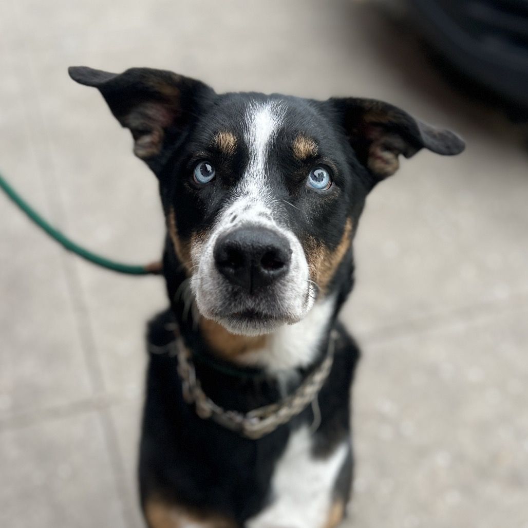 Hello my name is Margie