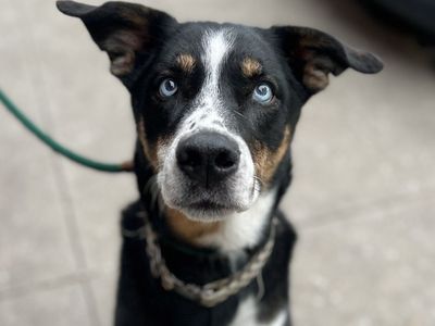 Hello my name is Margie