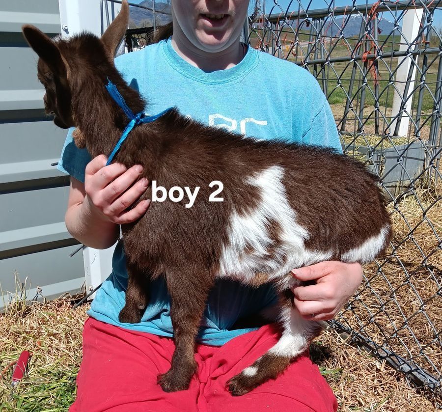 Main image 8