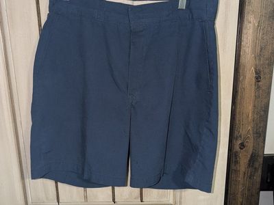Dickies Men's Blue Casual Flat Front Shorts - Size W31