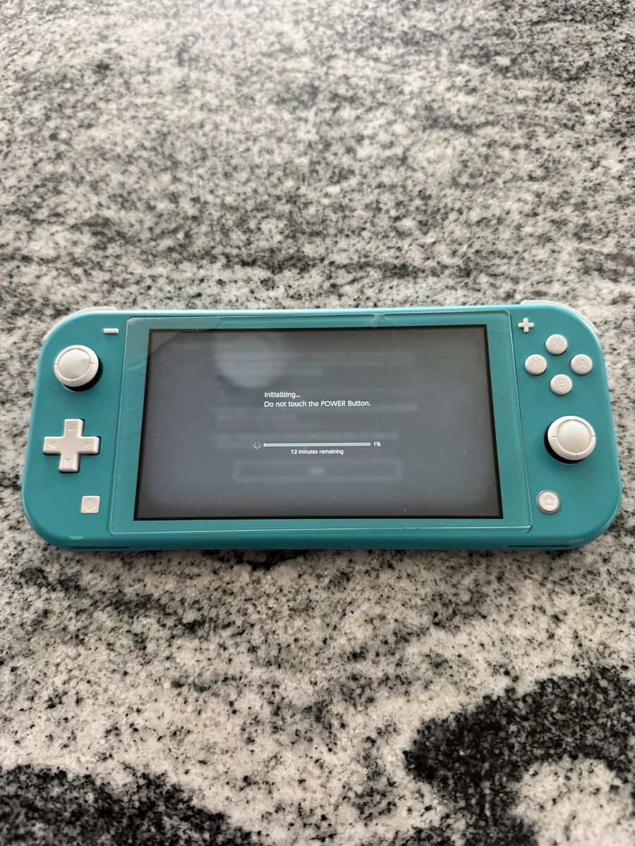 Nintendo switch lite