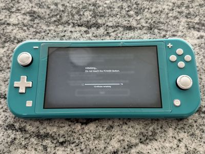 Nintendo switch lite