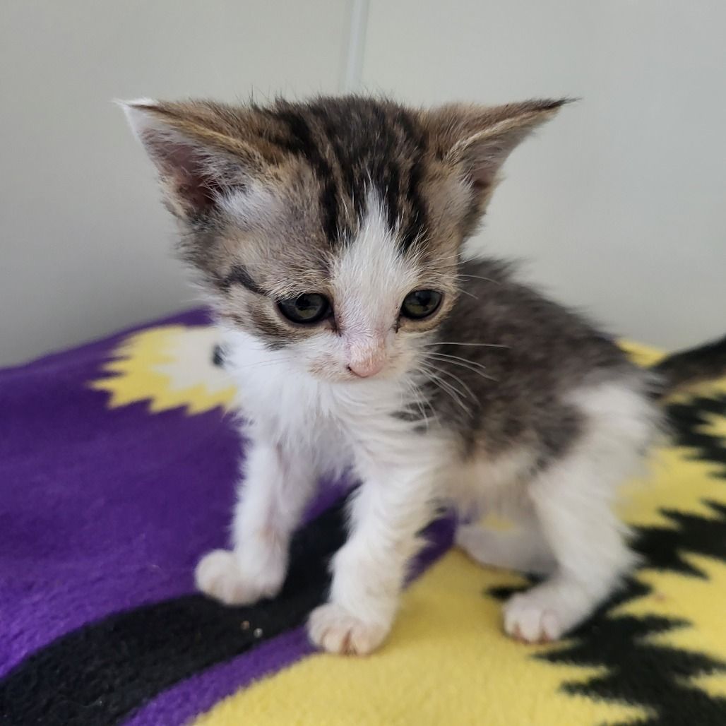 Hello my name is Cera