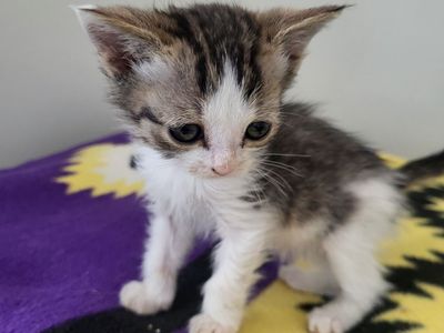 Hello my name is Cera