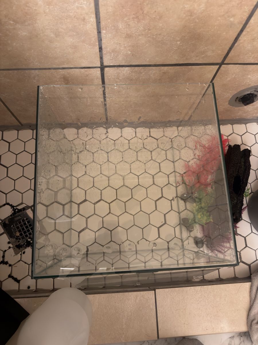 Fish tank