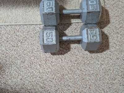 Pair of 50lb Hex Dumbbells - Grey Cast Iron Weights for Strength Training