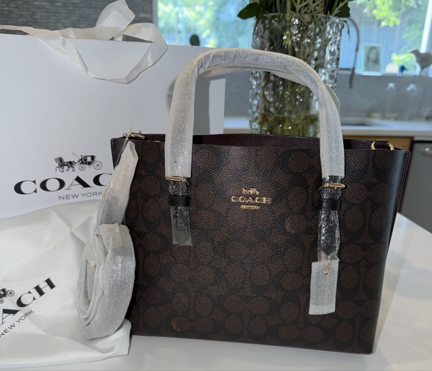 Coach Tote (Sig Mollie 25)