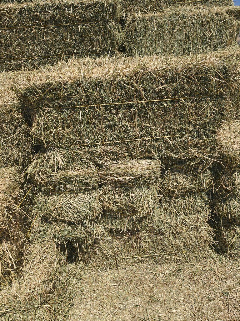 Hay - Alfalfa Small Bales