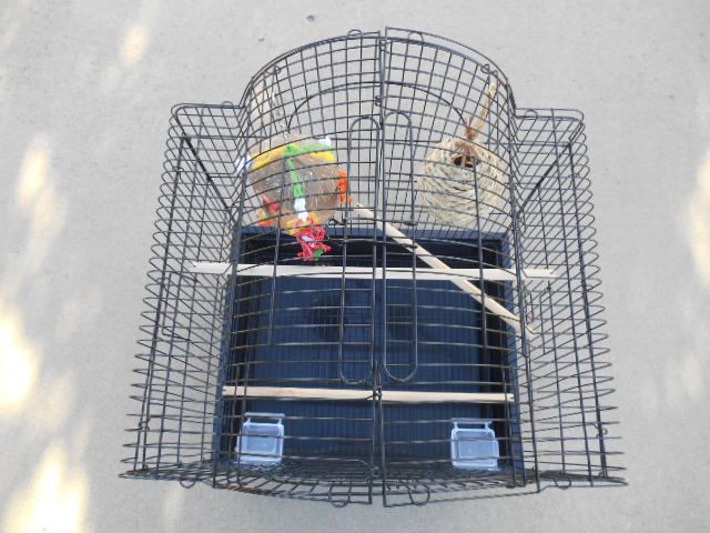 Birdcage