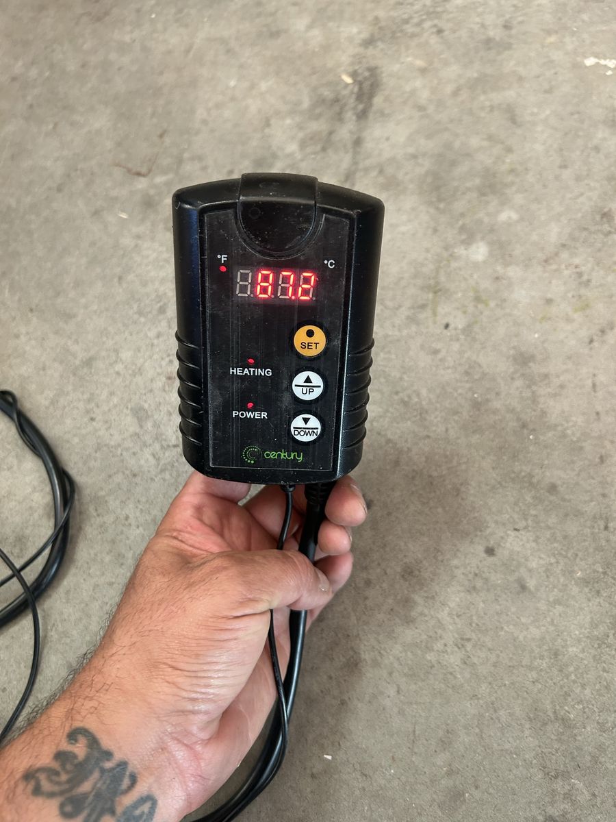 Reptile thermostat 