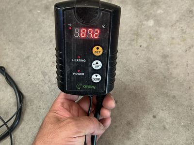 Reptile thermostat