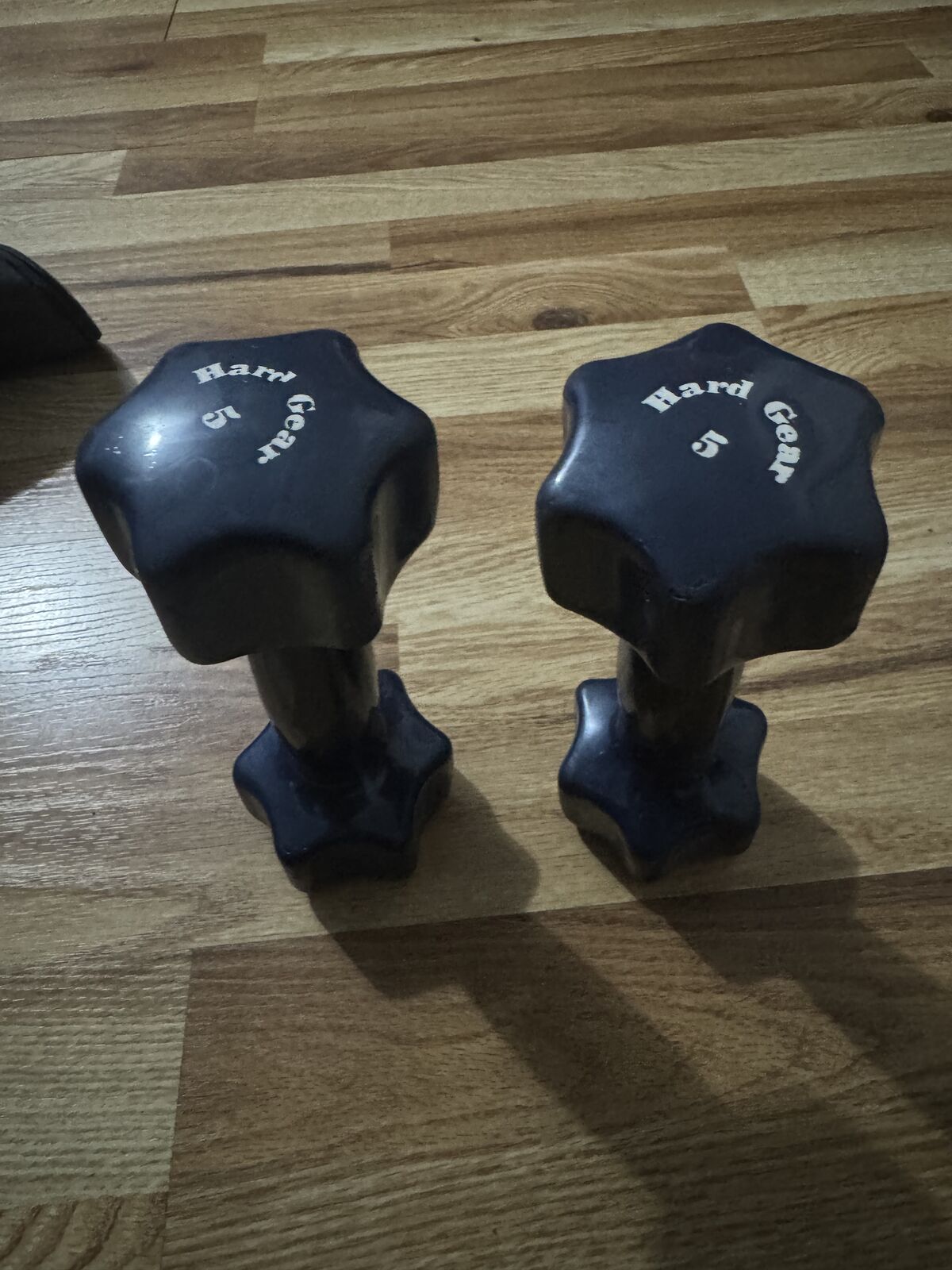 Blue Hard Gear 5 pounds Dumbbells SET