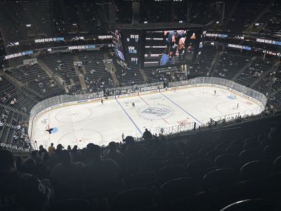 Utah mammoth 1/4 season ticket