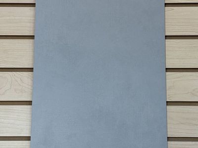 Roca Pro Concrete Matte 12" x 24" Tile