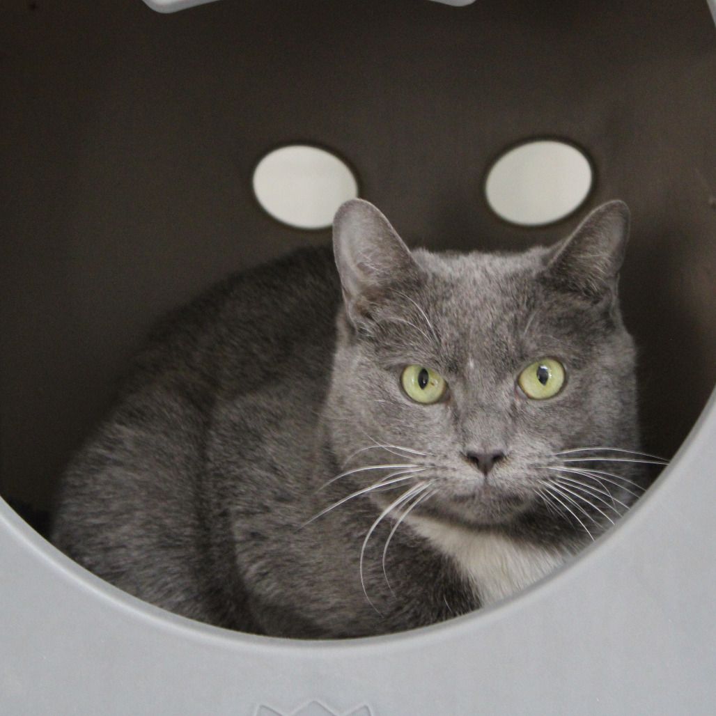 Hello my name is Pikake