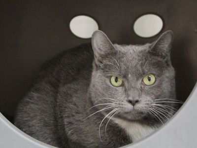 Hello my name is Pikake