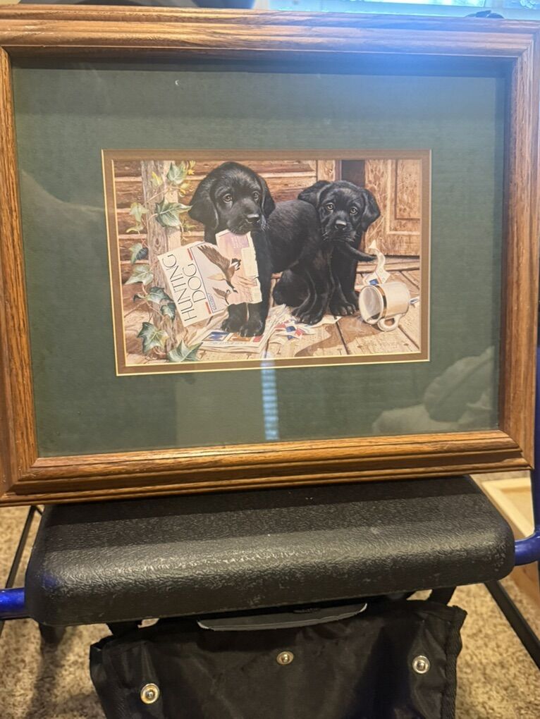 Black Lab Puppy Duck Hunting Print