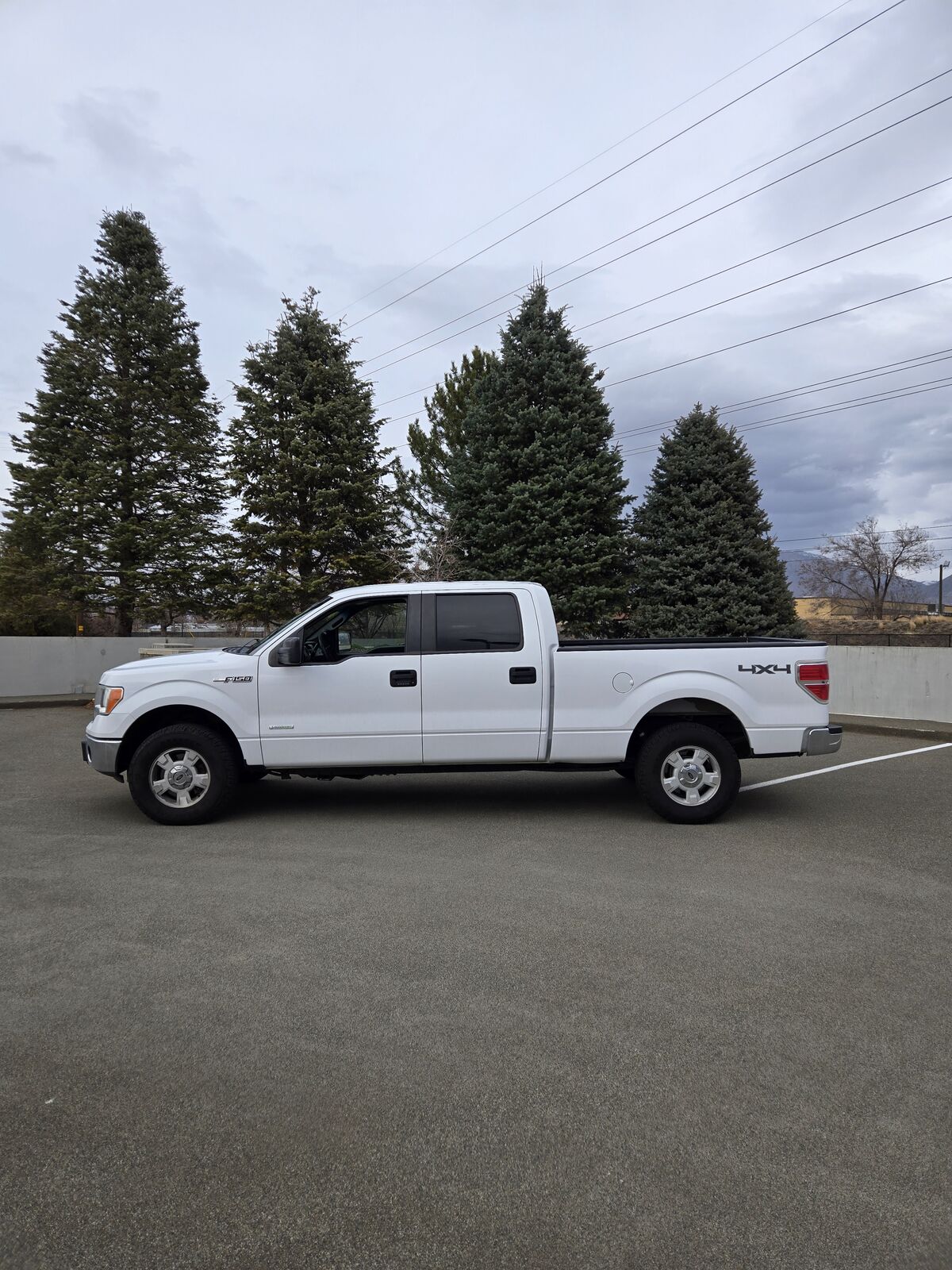 2014 FORD F150 XLT