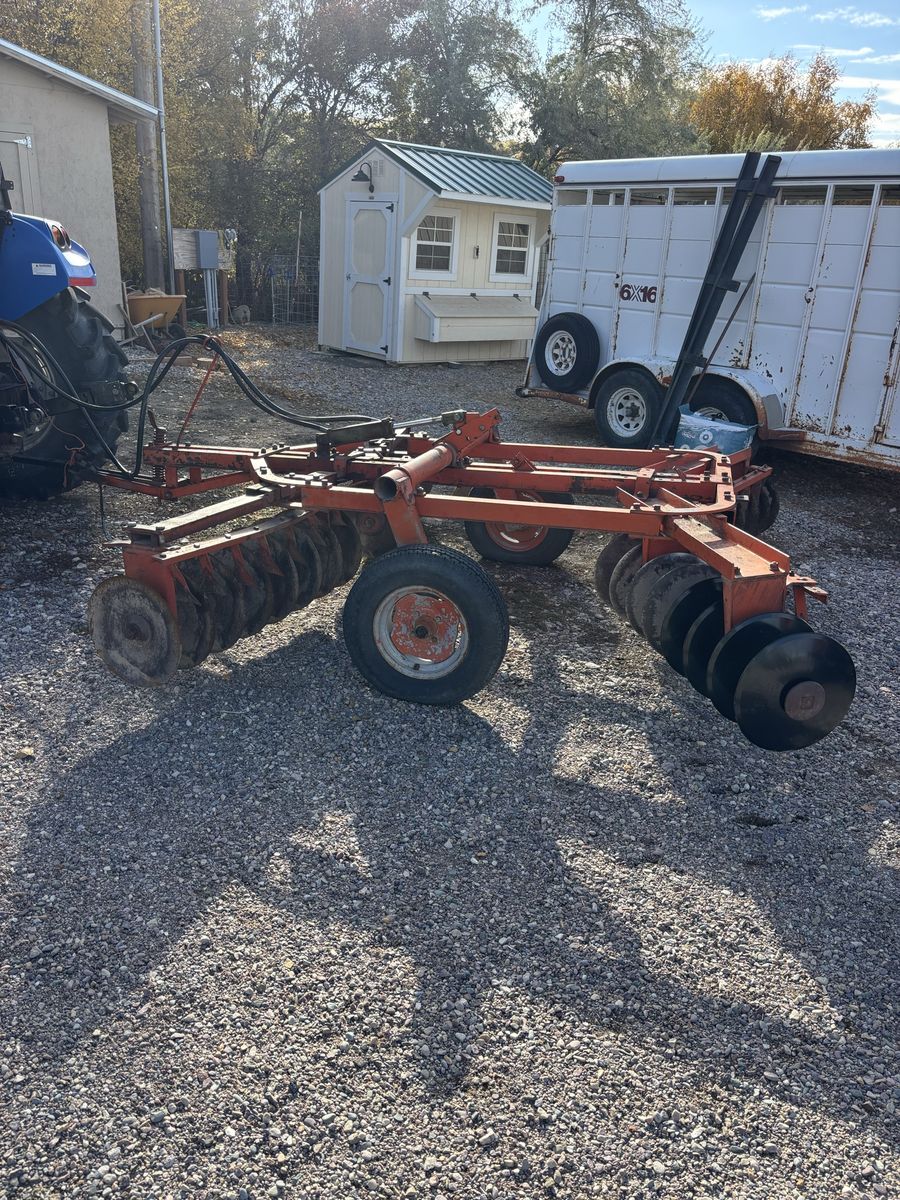 International disc 10 foot