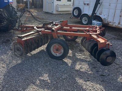 International disc 10 foot