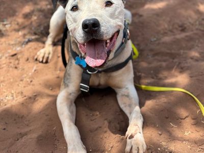 Hello my name is Rudy