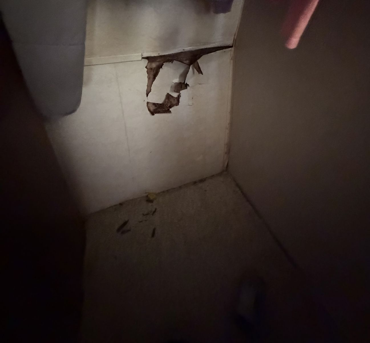 Main image 15