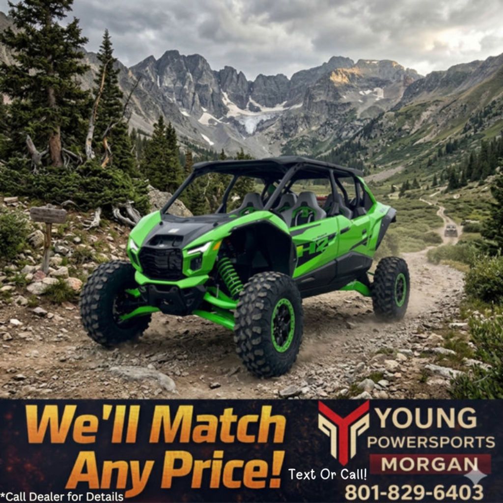 2026 KAWASAKI Teryx4 H2 Deluxe eS