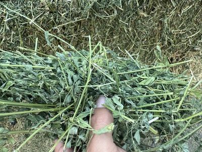 Small Alfalfa Hay Bales in Payson