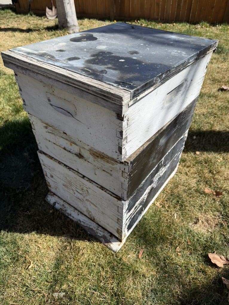 Complete Beekeeping Starter Kit - Hive Suit Tools