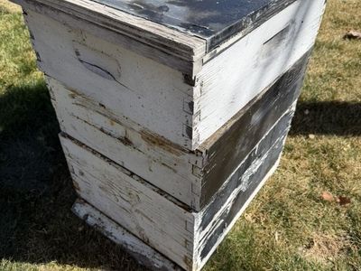 Complete Beekeeping Starter Kit - Hive Suit Tools