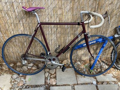 Frameset only. Vintage pinarello campagnolo