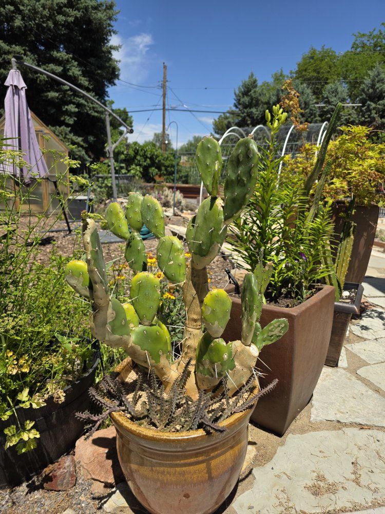 Main image 2