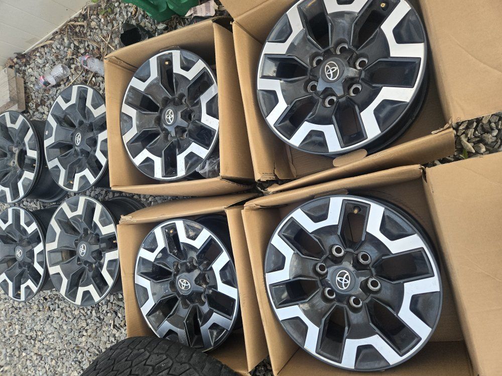 2023 Tacoma stock wheels and tires.