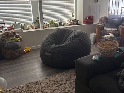 Lovesac SuperSac Insert – Never Used