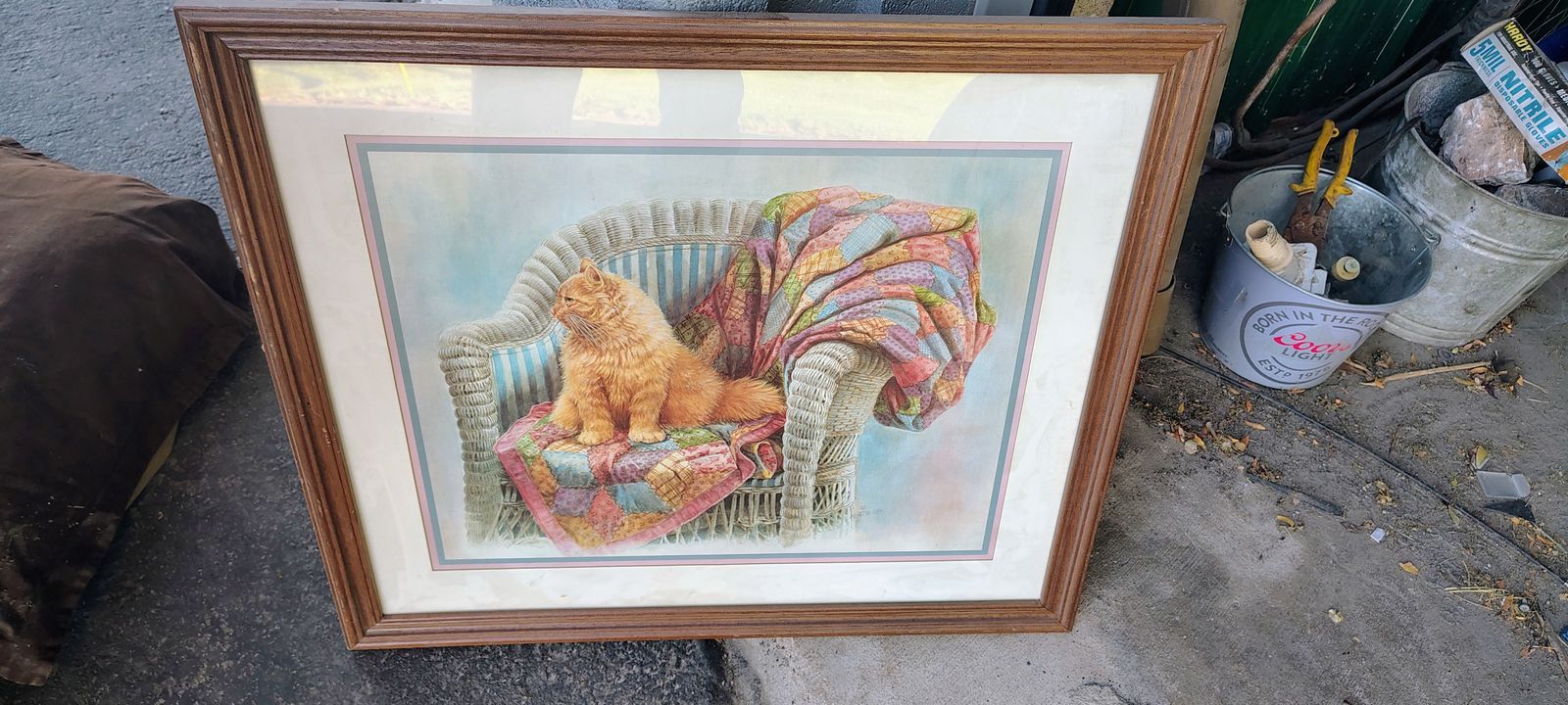 Cat picture