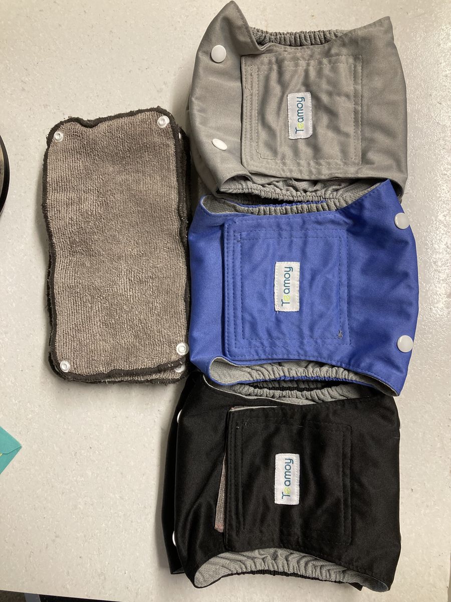 Small washable male doggy diapers!