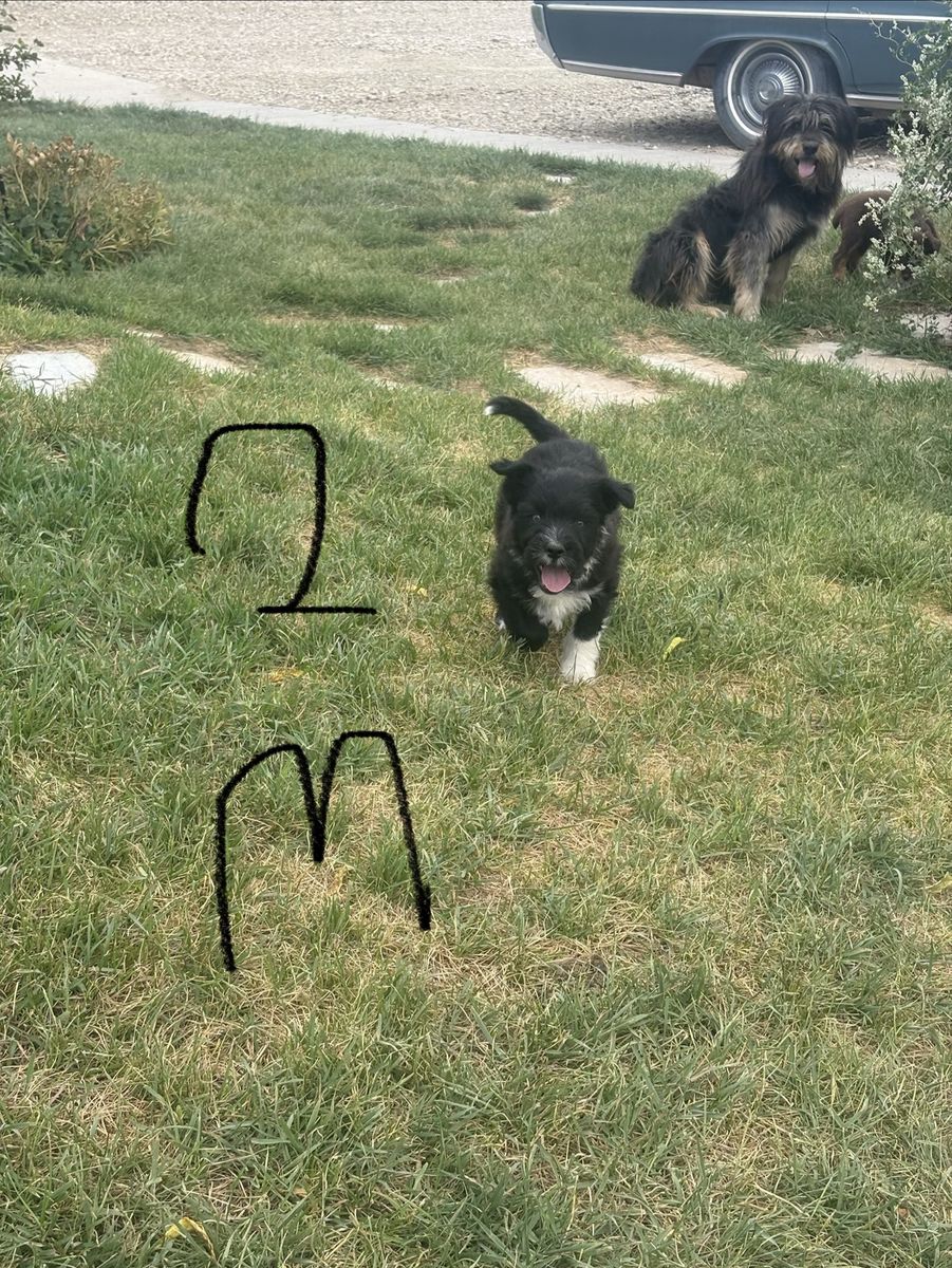 Main image 2