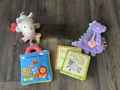 Baby Toy Bundle