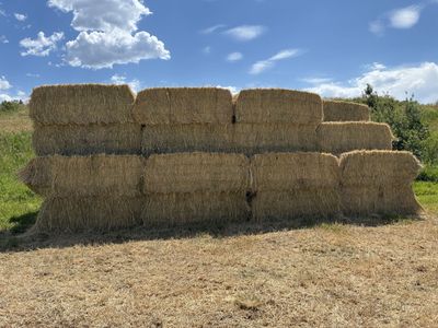Alfalfa 3x4 1000lb Bales