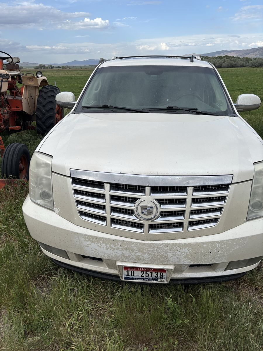09 escalade esv awd