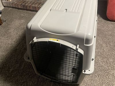 Large dog kennel