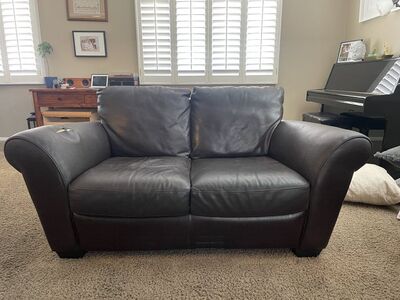 Leather Couches