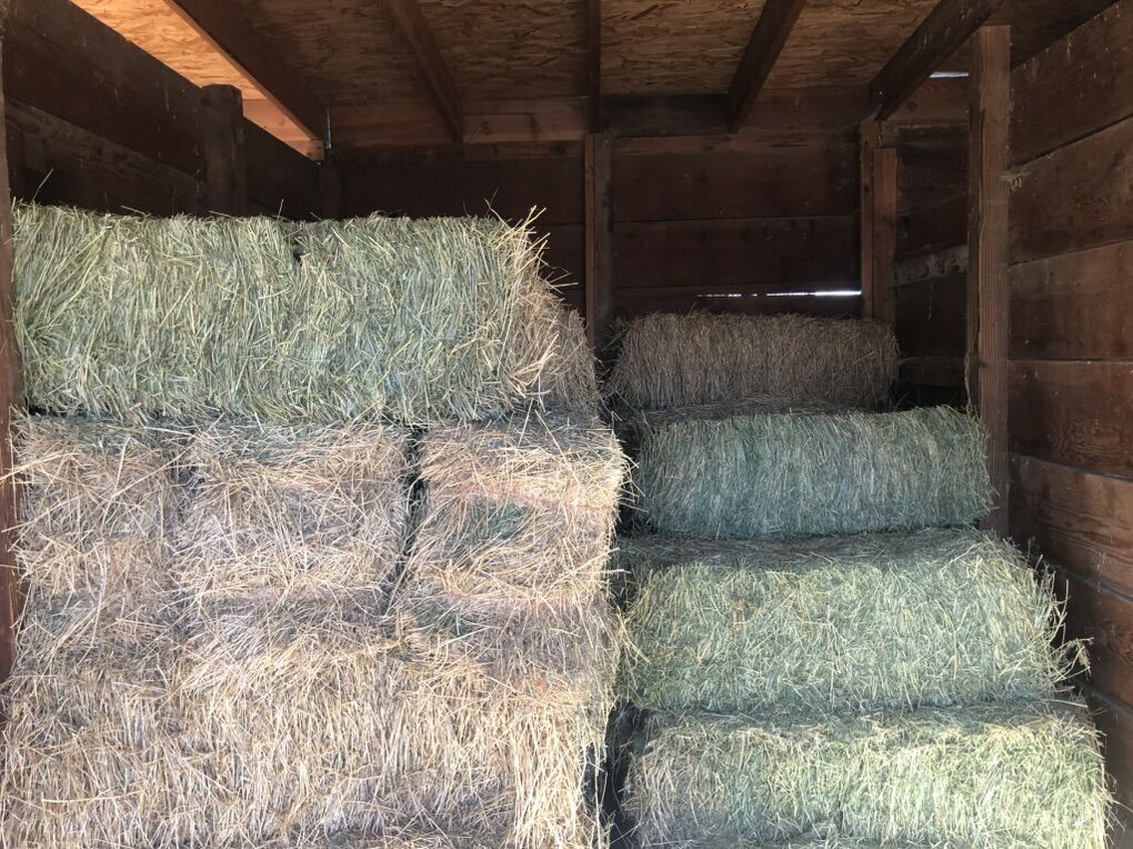 Quality Alfalfa Hay
