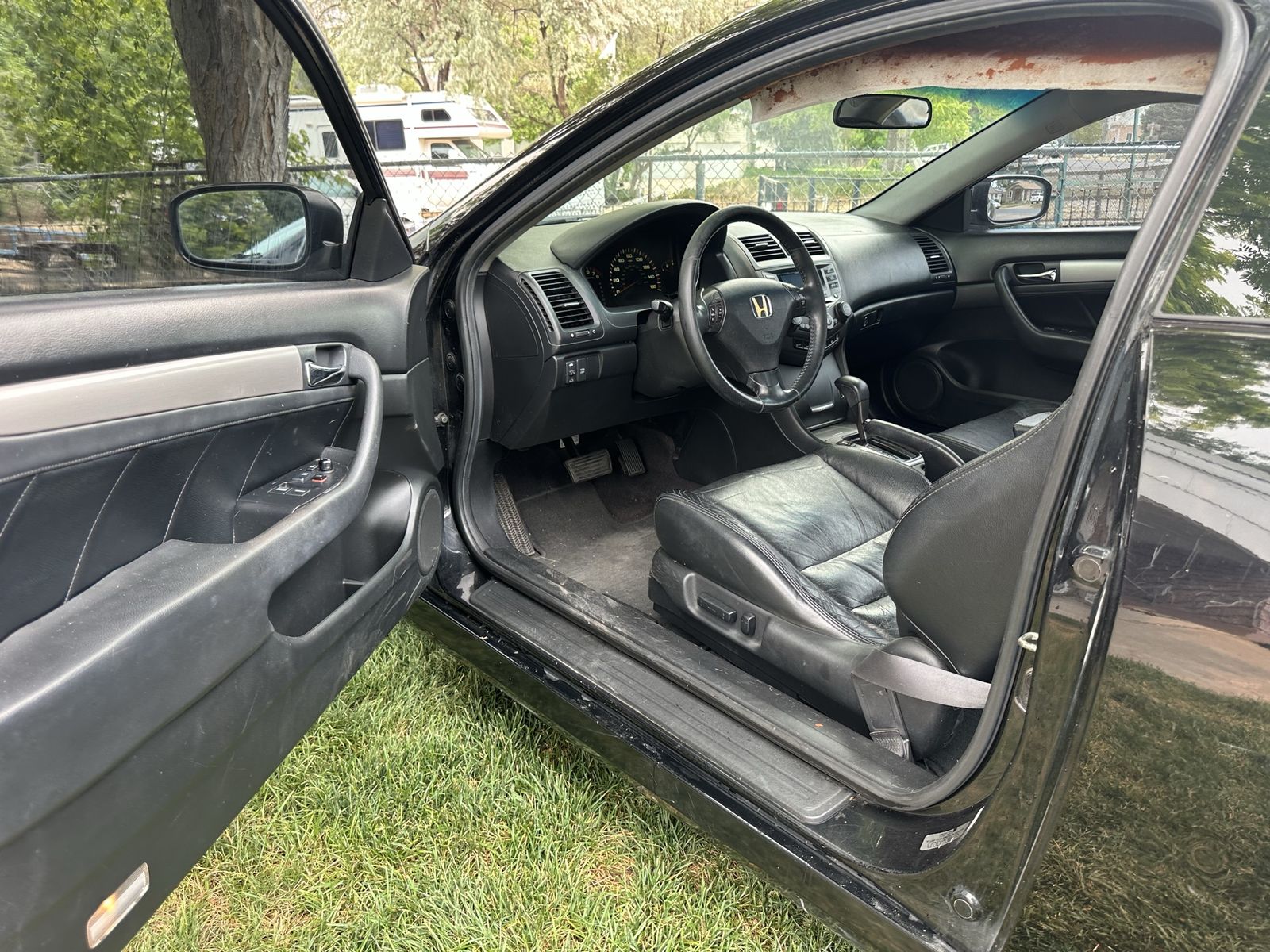 Main image 6