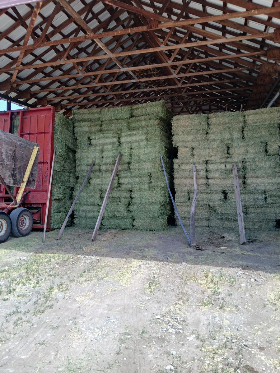 hay for sale