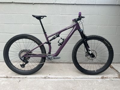 Specialized Epic EVO (Large)